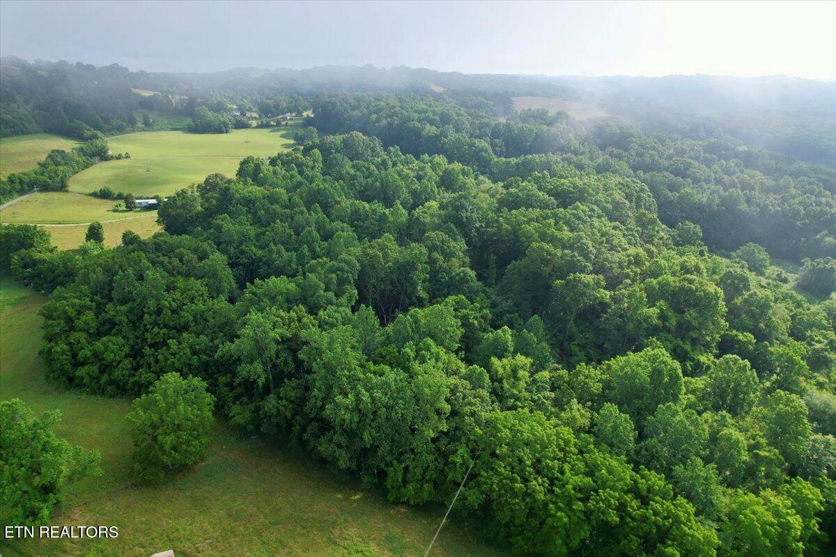 Tbd Barker Road New Tazewell, TN 37825 - Photo 33 of 43 20-DJI_0726
