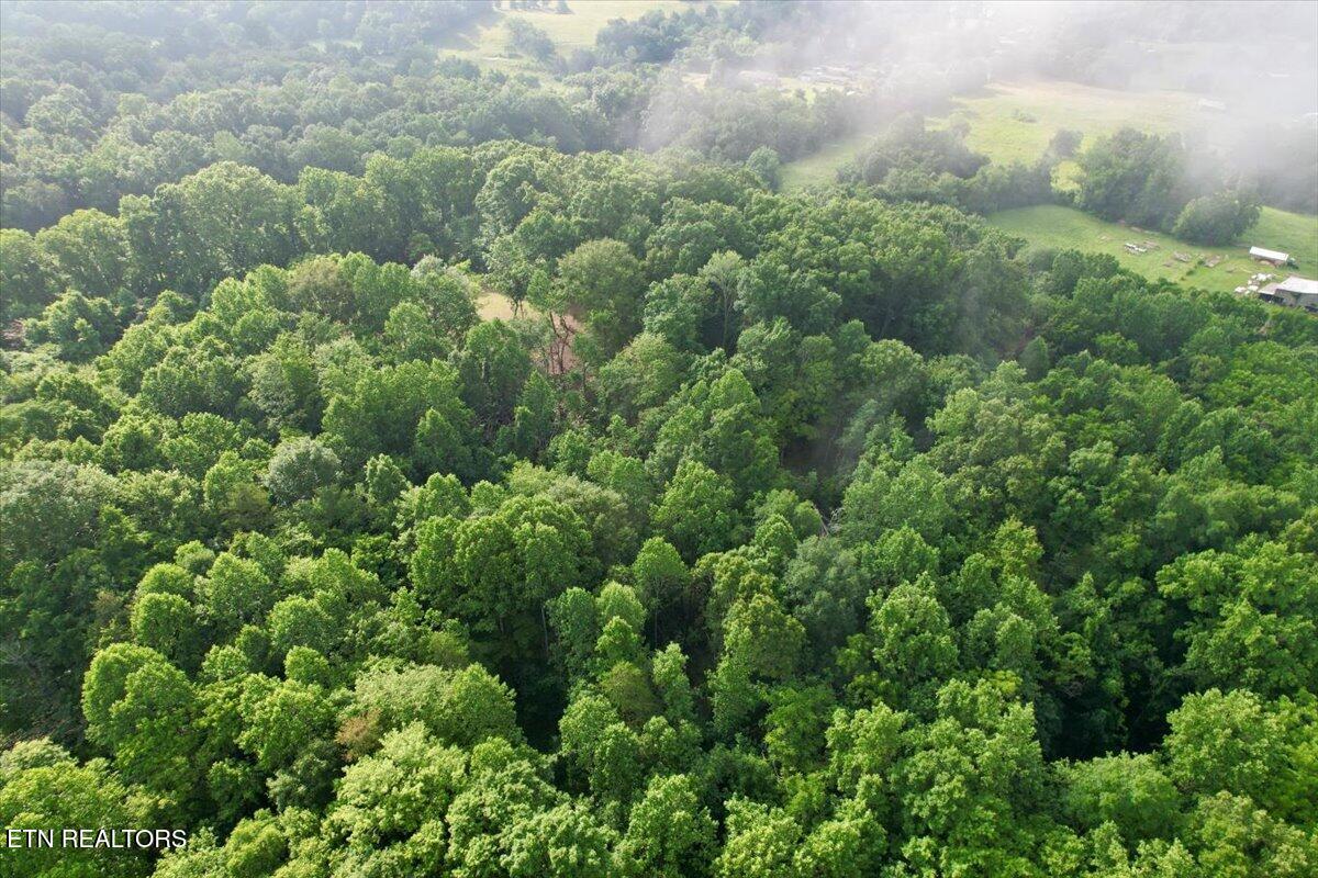 Tbd Barker Road New Tazewell, TN 37825 - Photo 35 of 43 22-DJI_0720