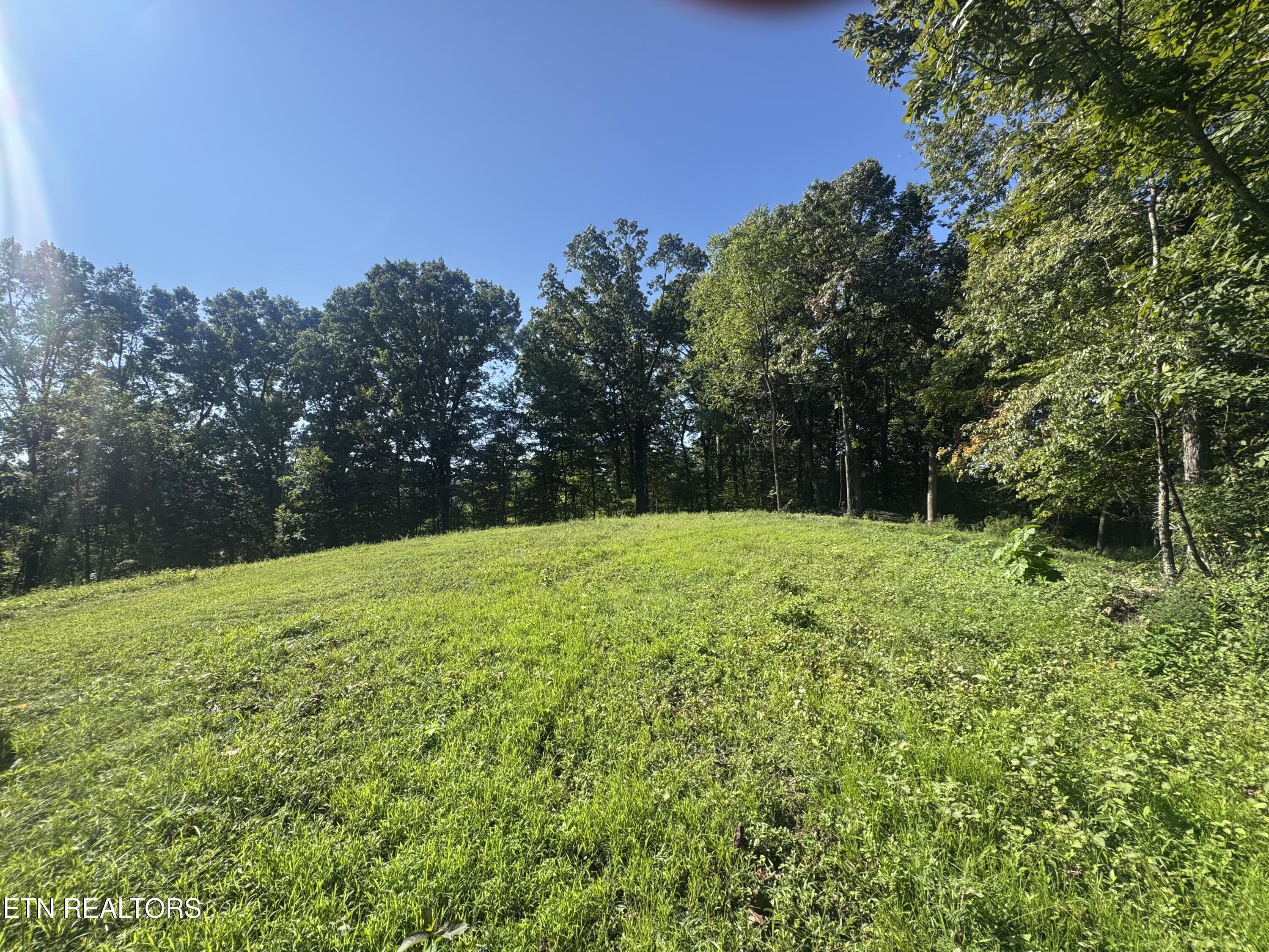 Tbd Barker Road New Tazewell, TN 37825 - Photo 5 of 43 ADBD7C66-7498-4B76-A131-D5BC4AA9EF1C