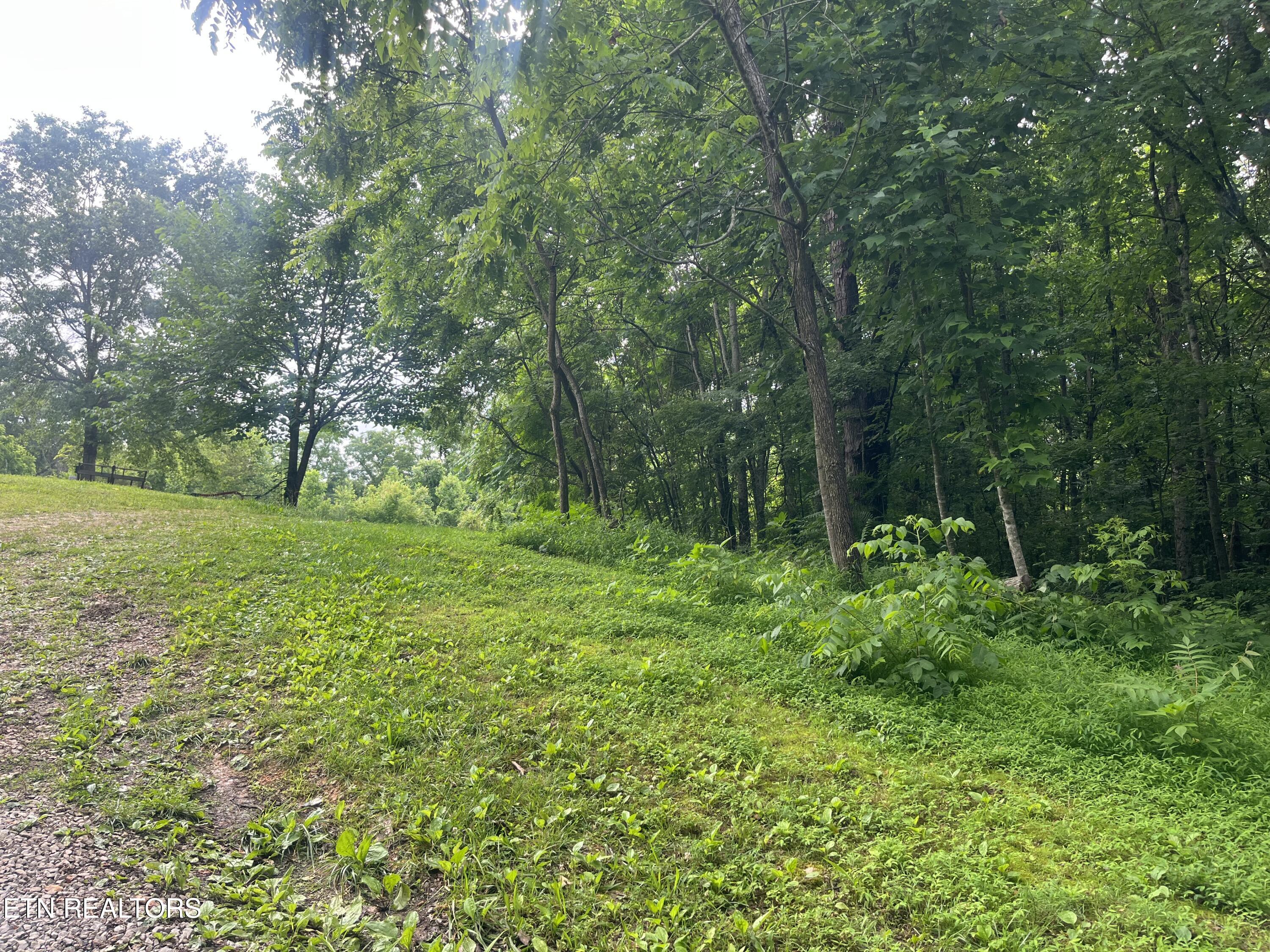Tbd Barker Road New Tazewell, TN 37825 - Photo 8 of 43 74FC7627-F08B-493D-B834-BE3FAC8C70CC