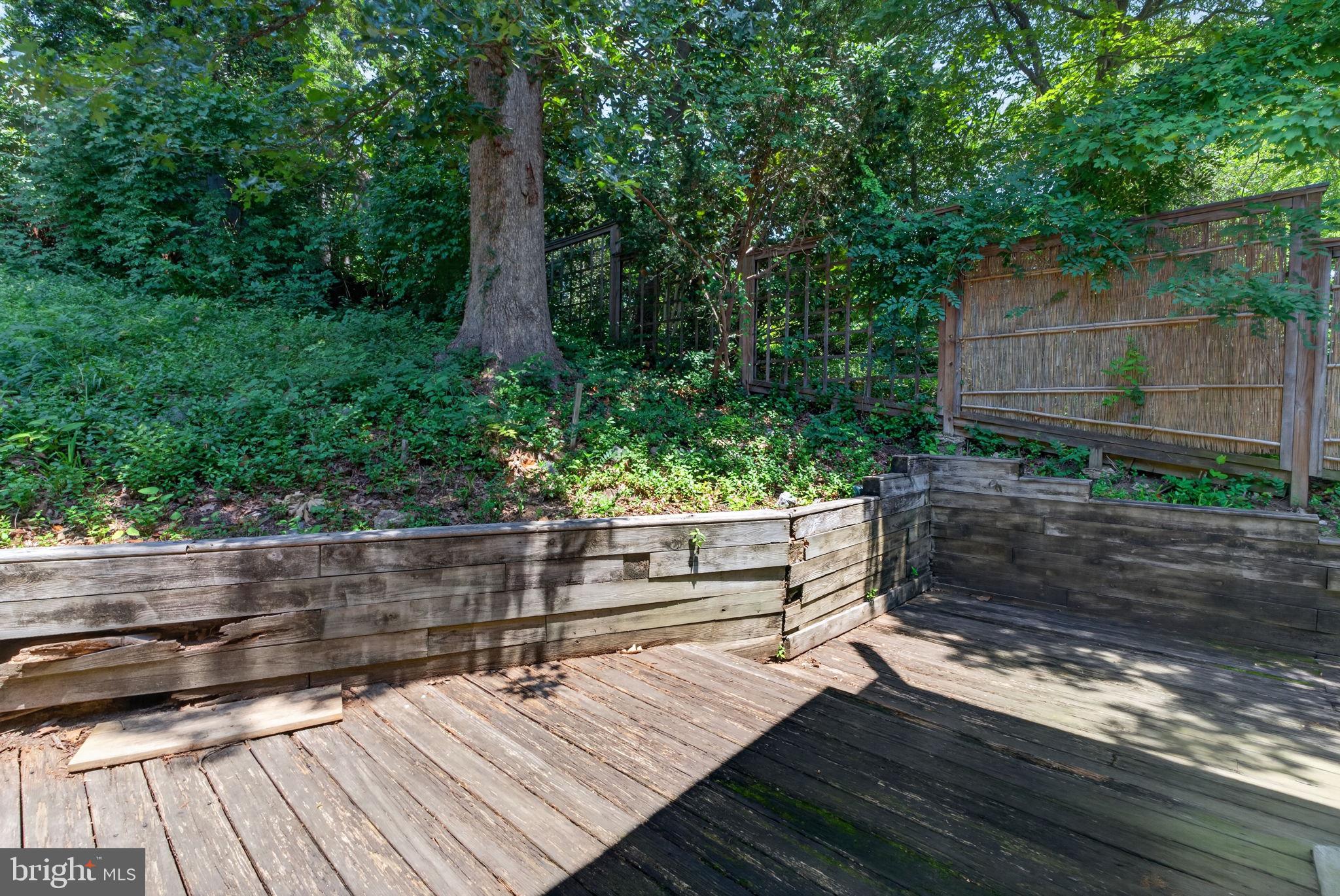 2963 Albemarle Street Northwest Washington, DC 20008 - Photo 23 of 45