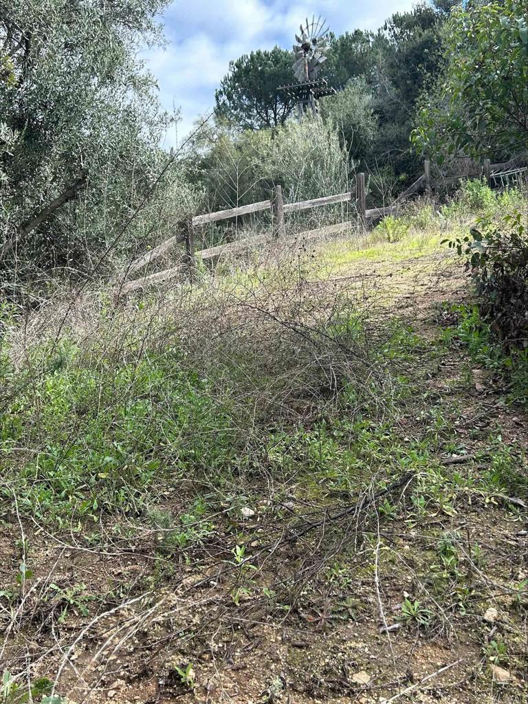 De Luz Road Fallbrook, CA 92028 - Photo 8 of 9 a view of a lake with a yard