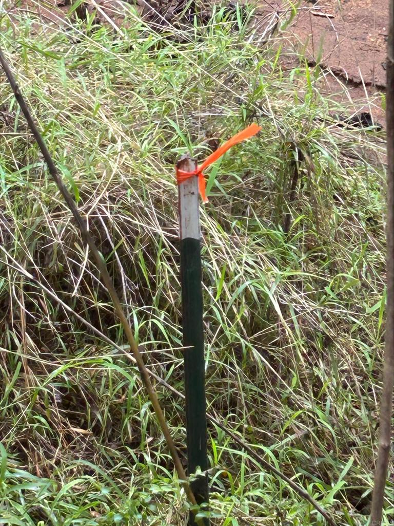 De Luz Road Fallbrook, CA 92028 - Photo 9 of 9 a bathroom with a shower and a shower curtain