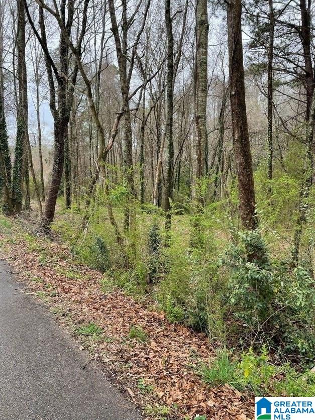 0 Osborne Street Heflin, AL 36264 - Photo 7 of 8