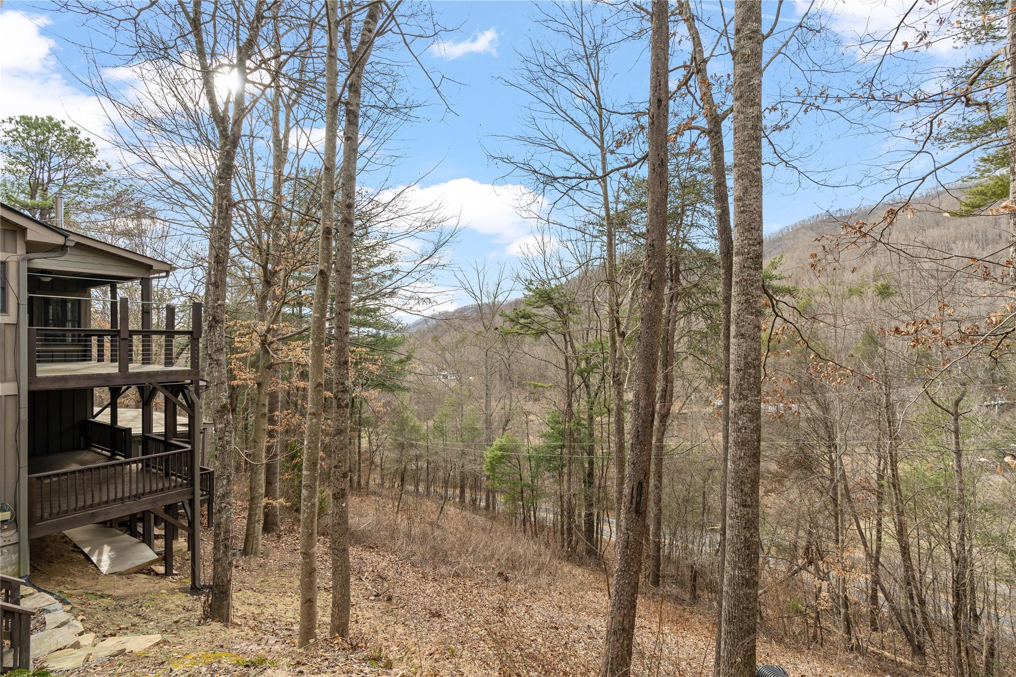 23 Ruffed Grouse Drive Weaverville, NC 28787 - Photo 42 of 48 a view of a forest