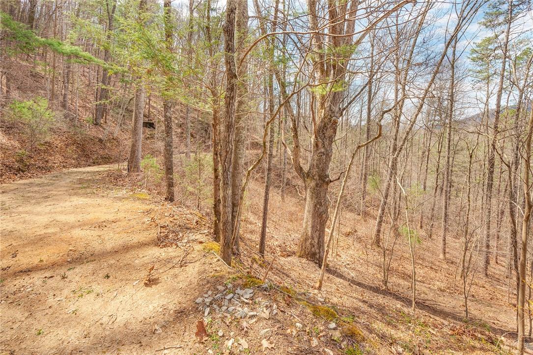 23 Ruffed Grouse Drive Weaverville, NC 28787 - Photo 43 of 48