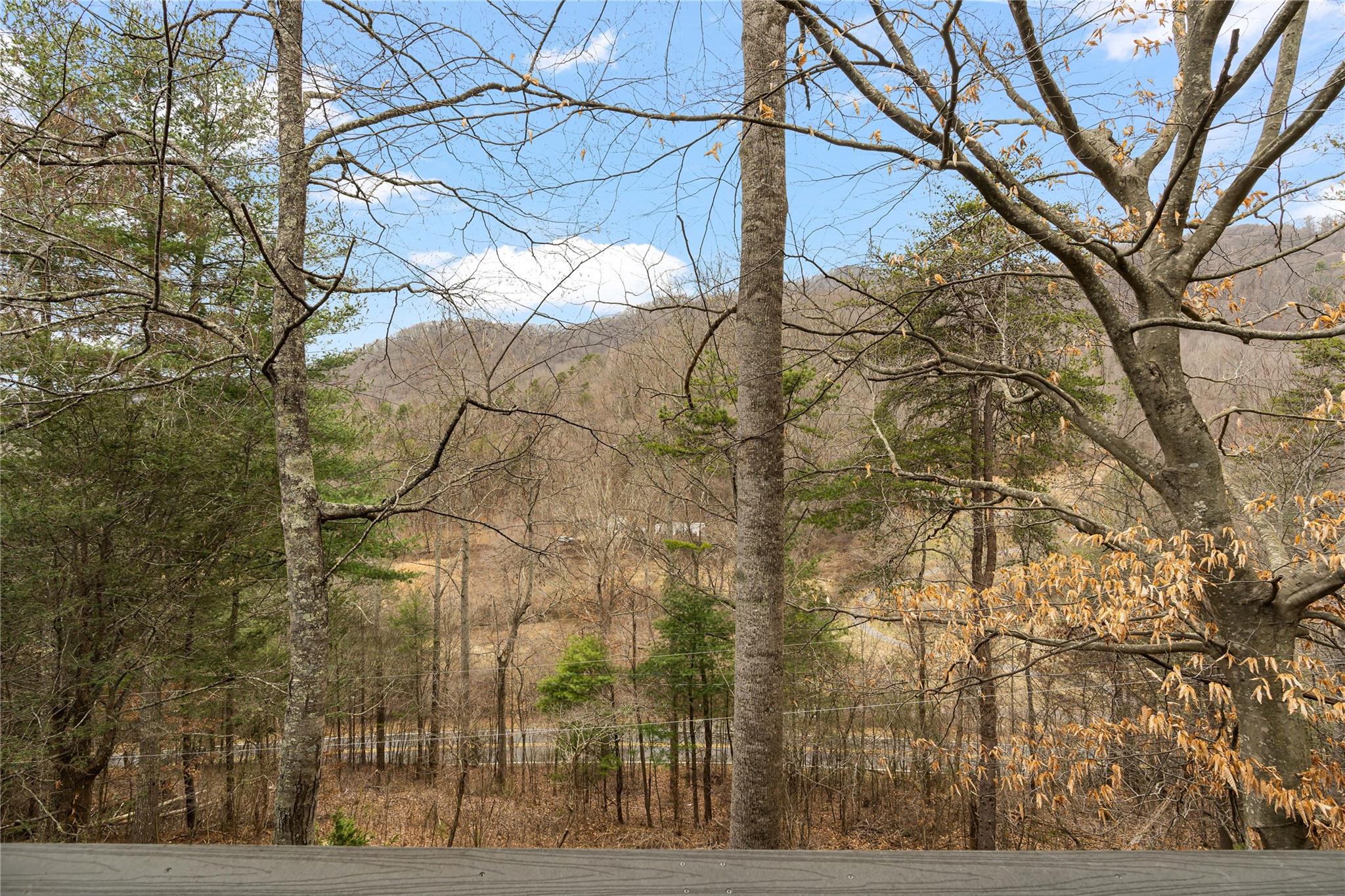 23 Ruffed Grouse Drive Weaverville, NC 28787 - Photo 46 of 48 a view of a yard