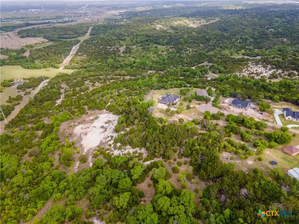 a view of a garden with plants