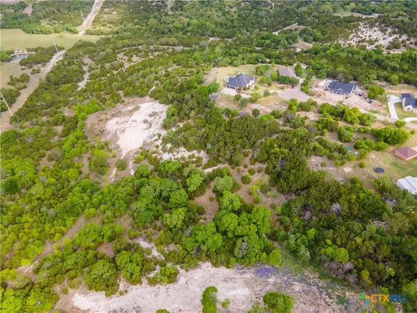 a view of a garden with a tree