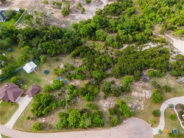 an aerial view of residential houses with outdoor space and trees