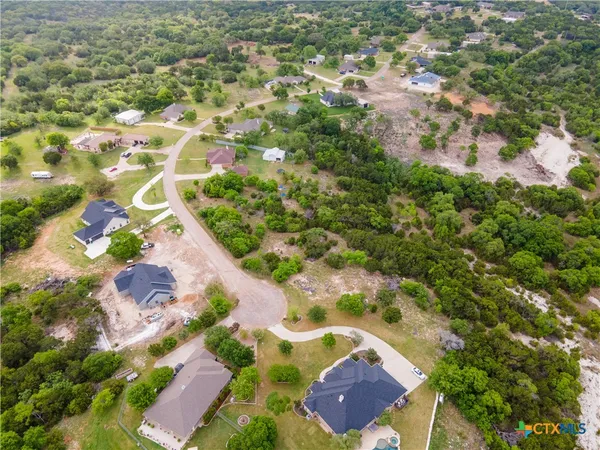 a view of a yard with yellow plants