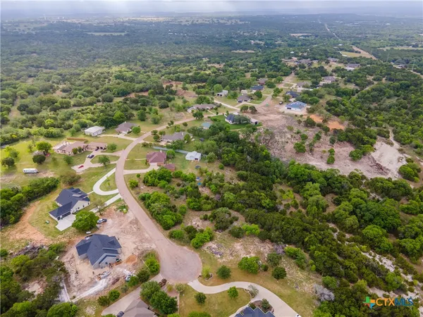 a view of a yard with plants