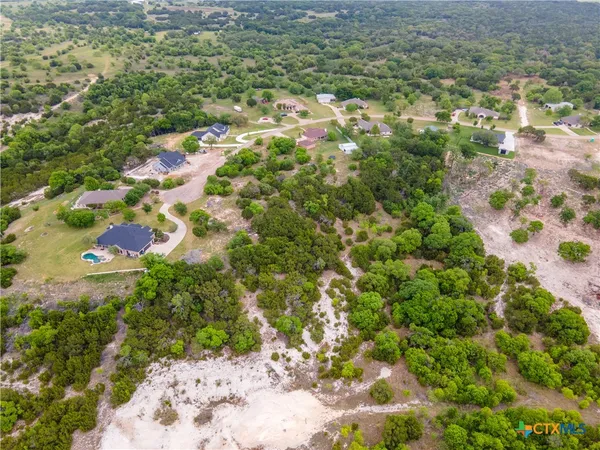 a close up of a plant