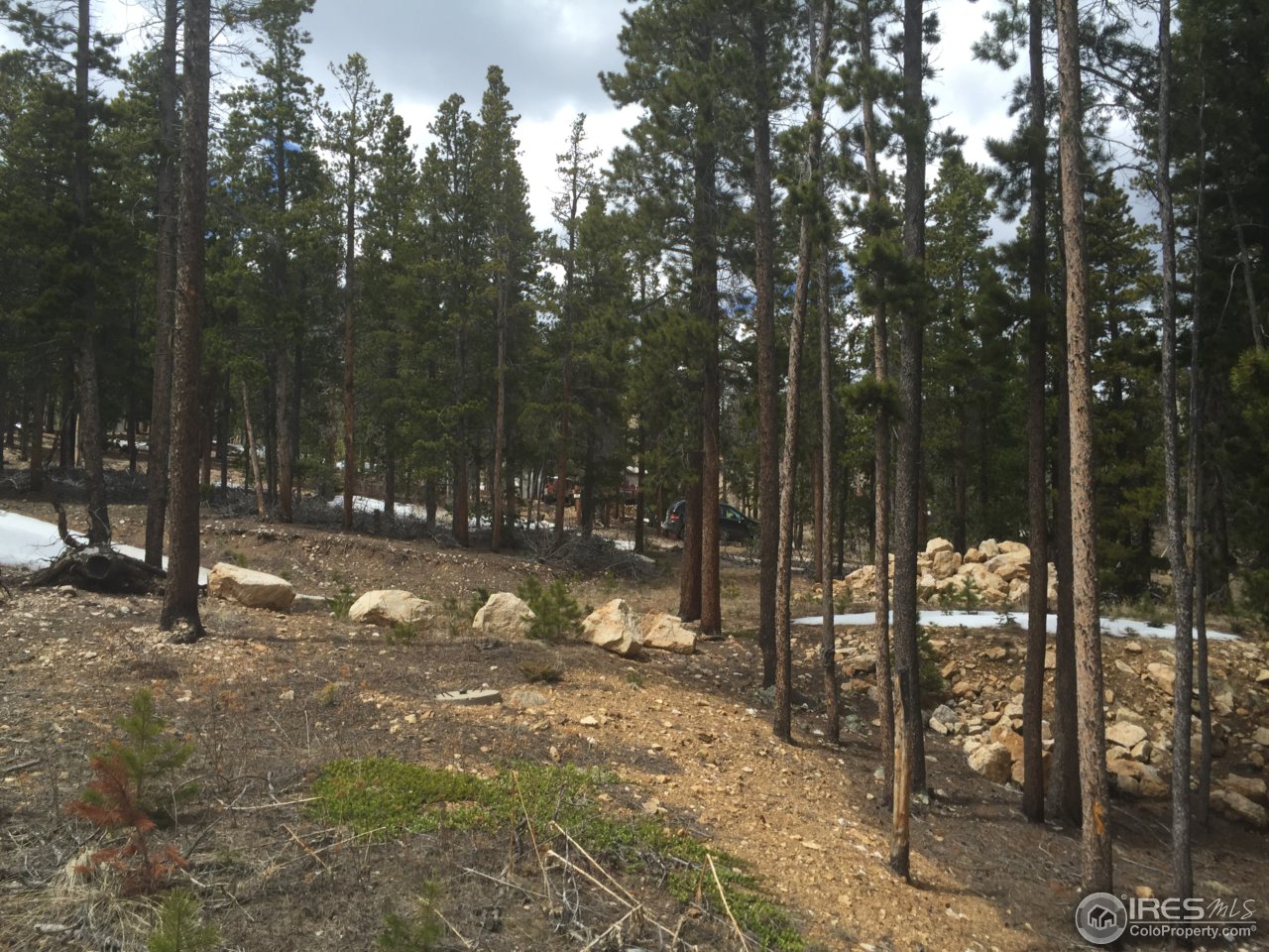 276 Caesar Road Black Hawk, CO 80422 - Photo 1 of 2 a view of outdoor space with lots of trees
