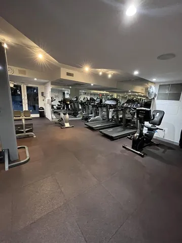 a view of a yard with plants and large trees