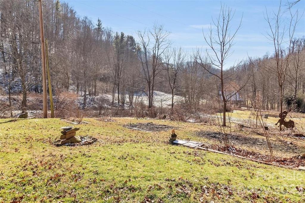 99 Rabbit Run Marshall, NC 28753 - Photo 11 of 36 Gallery Image 11
