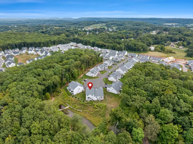 a view of a lake with a city