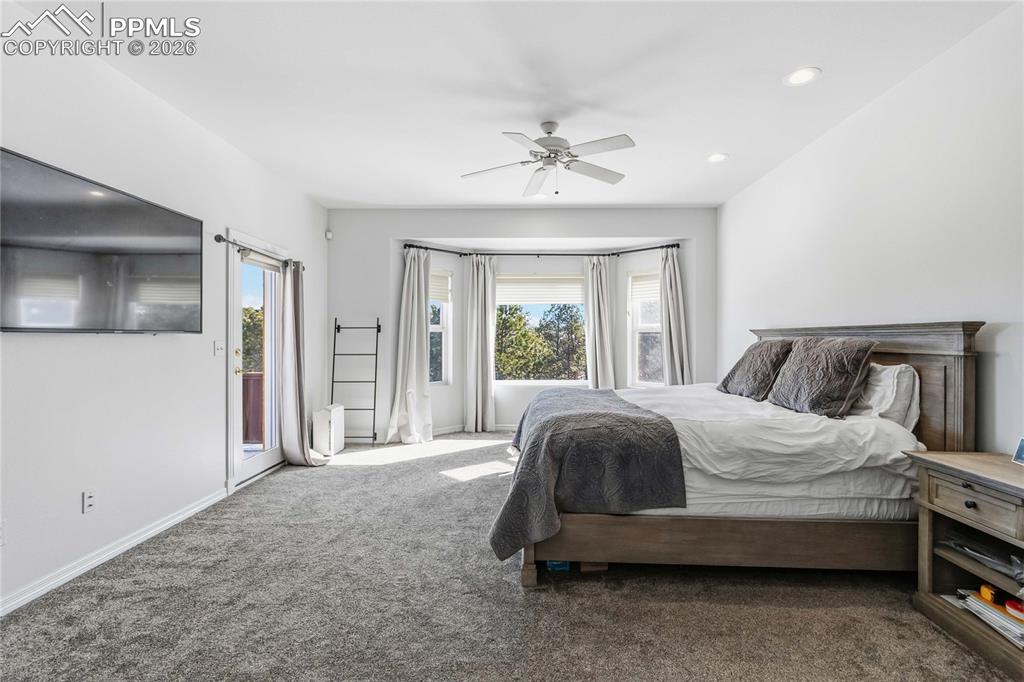 17521 Abert Ridge View Colorado Springs, CO 80908 - Photo 29 of 50