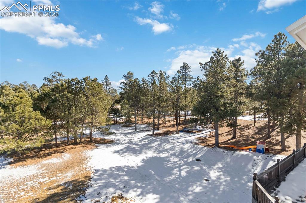 17521 Abert Ridge View Colorado Springs, CO 80908 - Photo 40 of 50