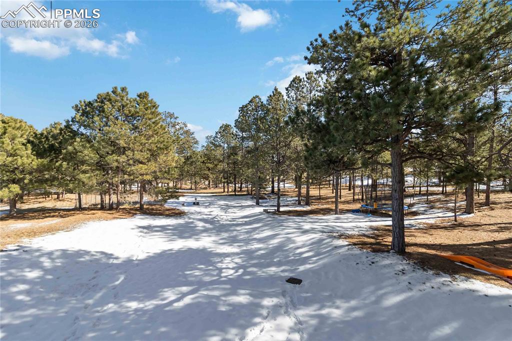 17521 Abert Ridge View Colorado Springs, CO 80908 - Photo 41 of 50