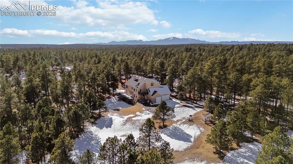 17521 Abert Ridge View Colorado Springs, CO 80908 - Photo 42 of 50