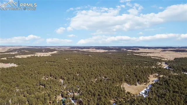 a black and white photo of a rug