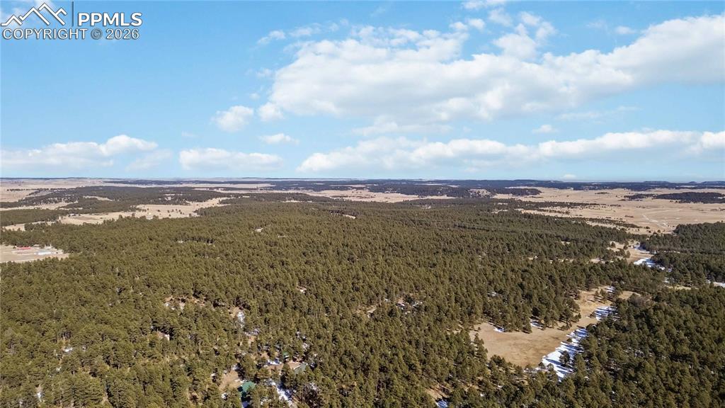 17521 Abert Ridge View Colorado Springs, CO 80908 - Photo 44 of 50