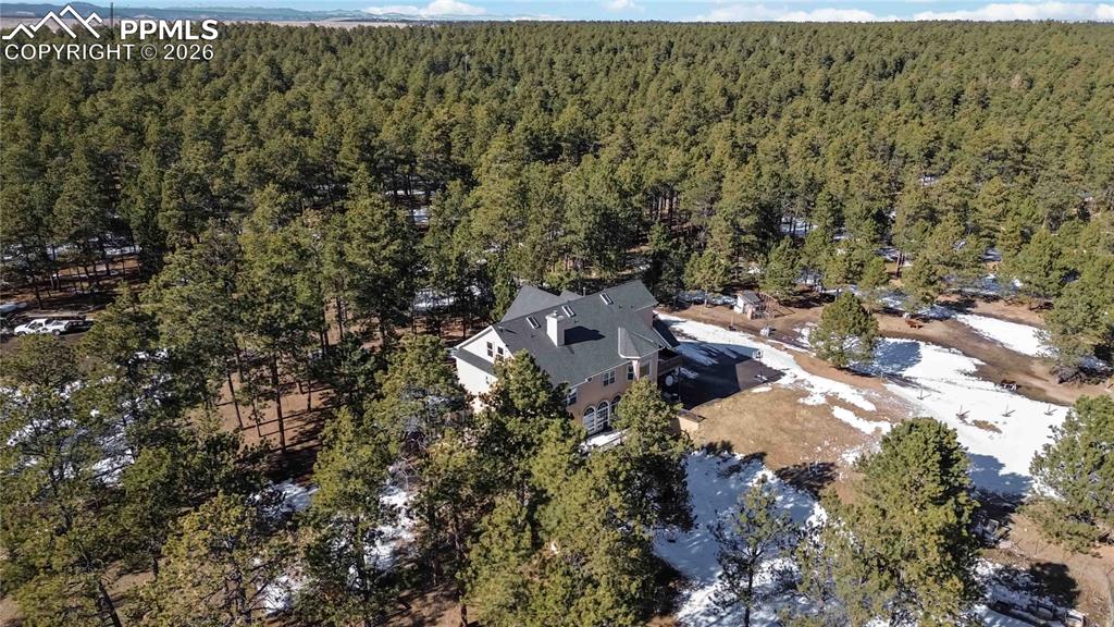 17521 Abert Ridge View Colorado Springs, CO 80908 - Photo 46 of 50