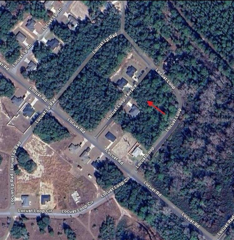 Tbd Locust Loop Terrace Ocala, FL 34472 - Photo 4 of 5