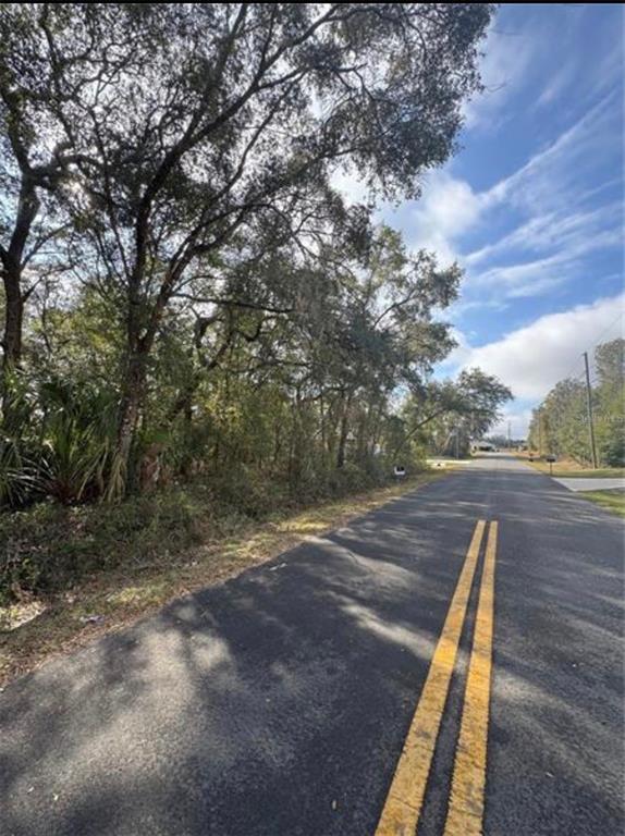 Tbd Locust Loop Terrace Ocala, FL 34472 - Photo 5 of 5