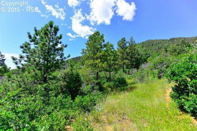 1118 Gold Camp Road Colorado Springs, CO 80906 - Photo 8 of 20