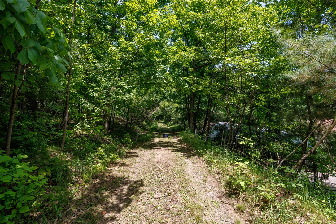 8867 Glenbrook Road Hammondsport, NY 14840 - Photo 13 of 17
