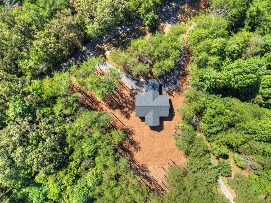 2 Brookhaven Lane Blue Ridge, GA 30513 - Photo 33 of 39 Gallery Image 33