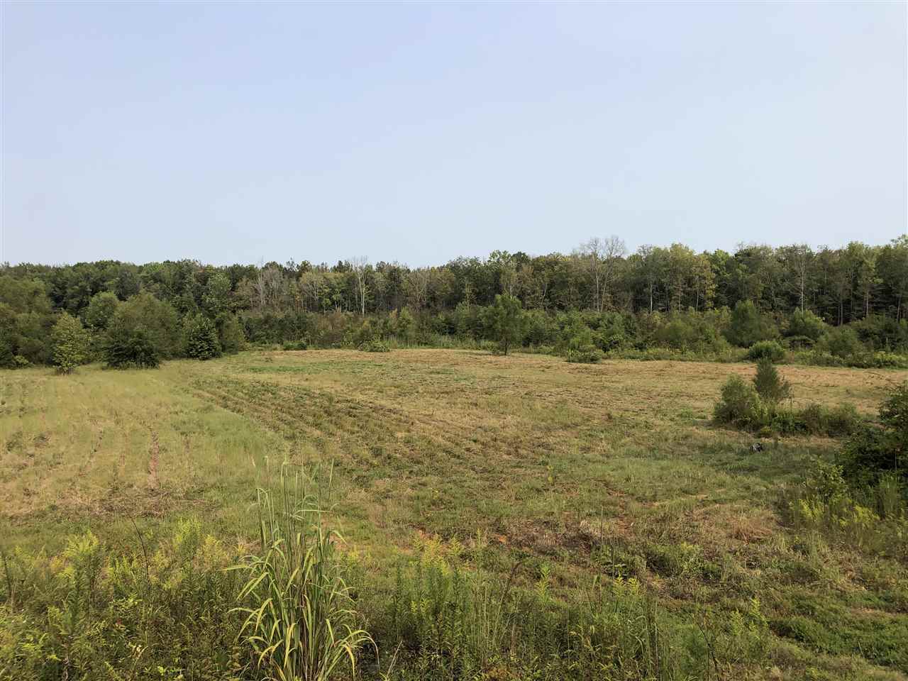 0 North County Road 100 Road Walnut, MS 38683 - Photo 1 of 15 Gallery Image 1