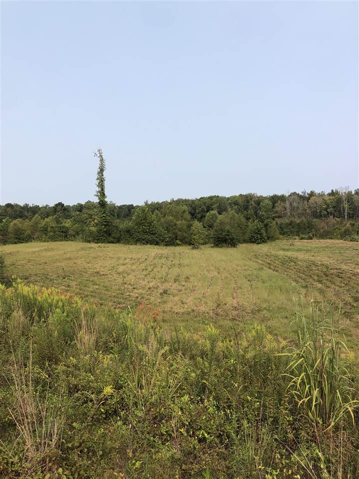 0 North County Road 100 Road Walnut, MS 38683 - Photo 2 of 15 Gallery Image 2