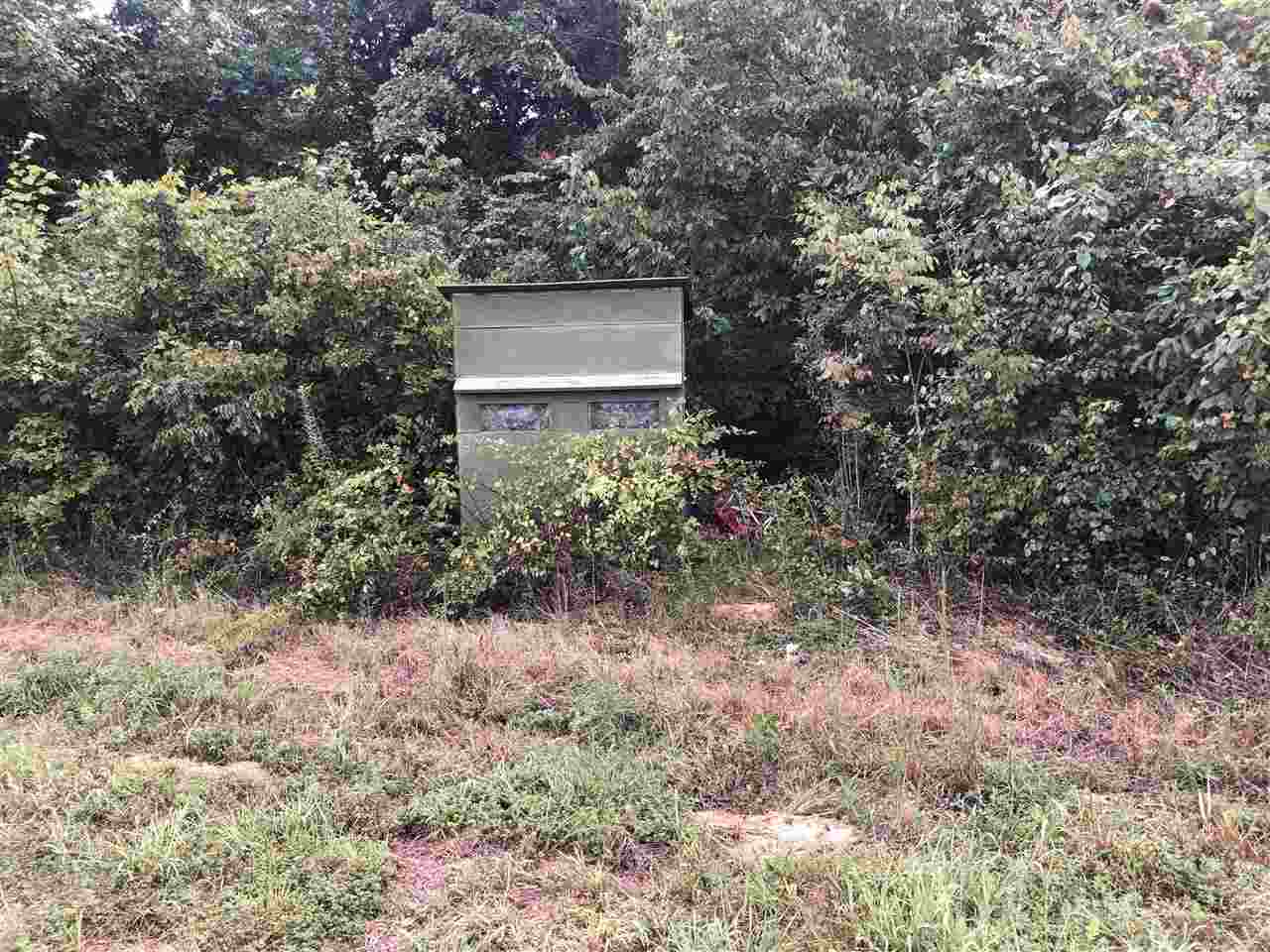0 North County Road 100 Road Walnut, MS 38683 - Photo 12 of 15 Gallery Image 12
