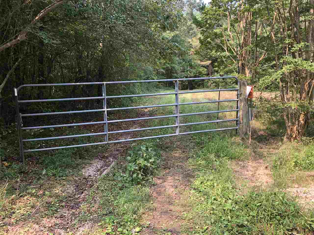 0 North County Road 100 Road Walnut, MS 38683 - Photo 5 of 15 Gallery Image 5