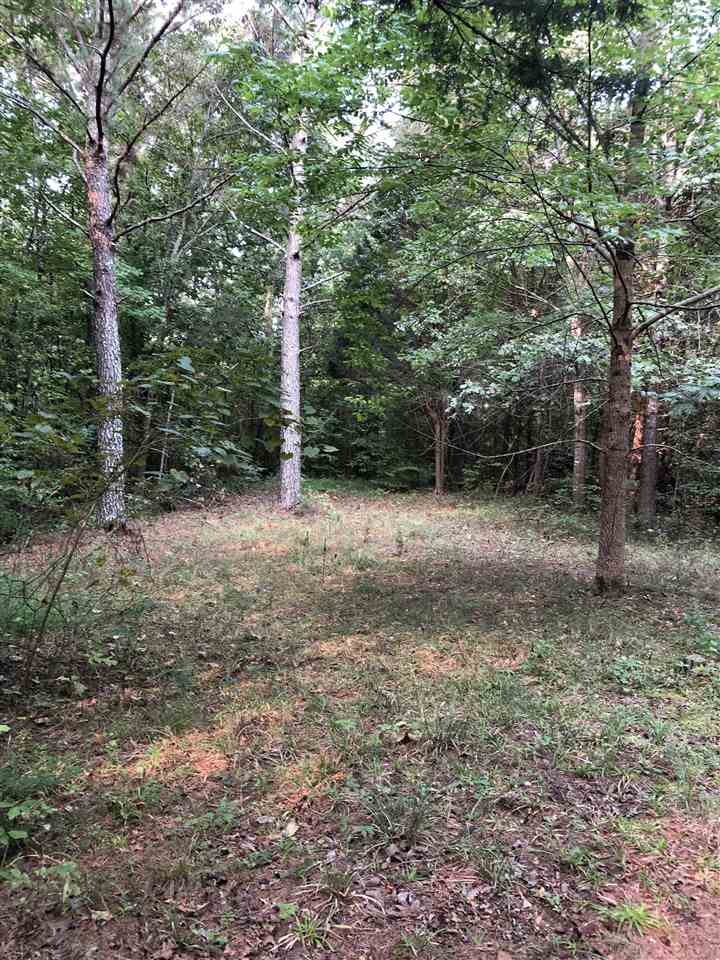 0 North County Road 100 Road Walnut, MS 38683 - Photo 6 of 15 Gallery Image 6