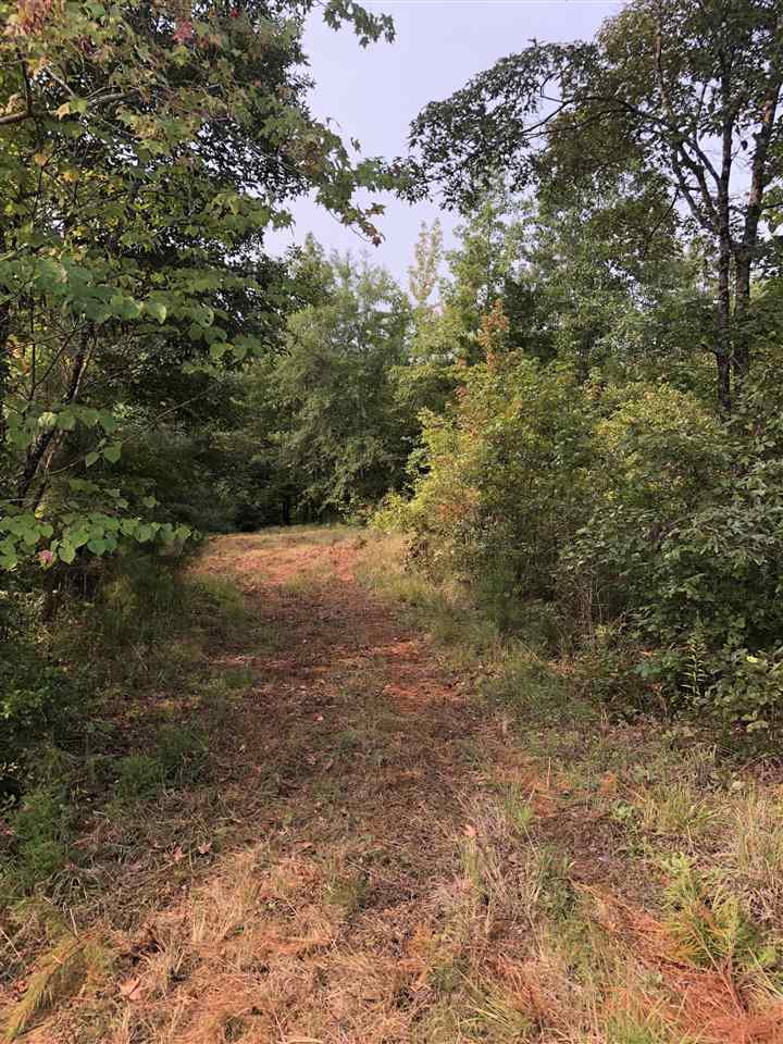 0 North County Road 100 Road Walnut, MS 38683 - Photo 8 of 15 Gallery Image 8