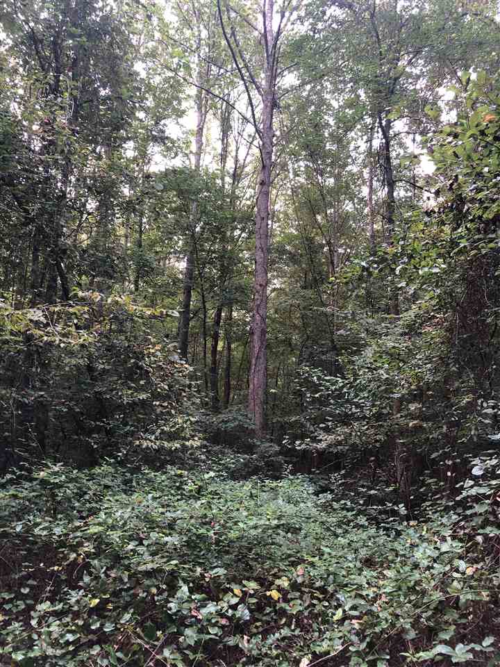 0 North County Road 100 Road Walnut, MS 38683 - Photo 10 of 15 Gallery Image 10