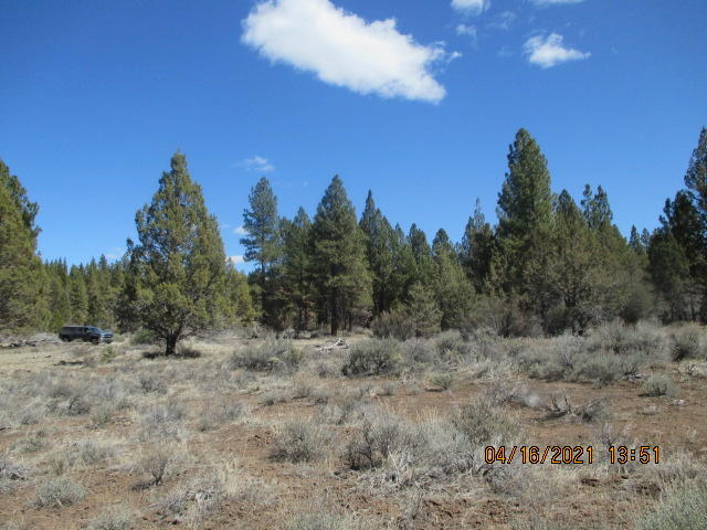 1200 Yellow Jacket (off Of) Road Beatty, OR 97621 - Photo 3 of 10 IMG_6956