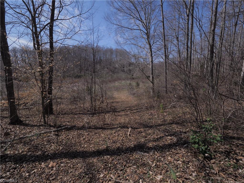 7-acres Shore Road Rural Hall, NC 27045 - Photo 12 of 19