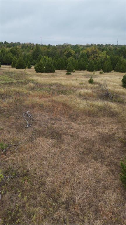 390 Bishop Street Commerce, TX 75428 - Photo 3 of 3 a view of outdoor space and yard