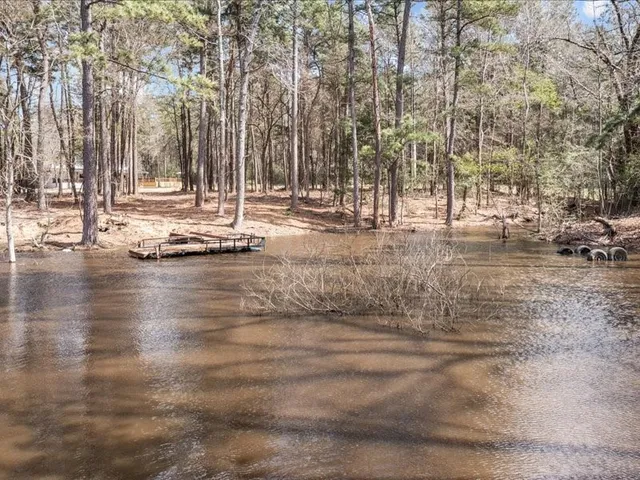 a view of a yard with large trees