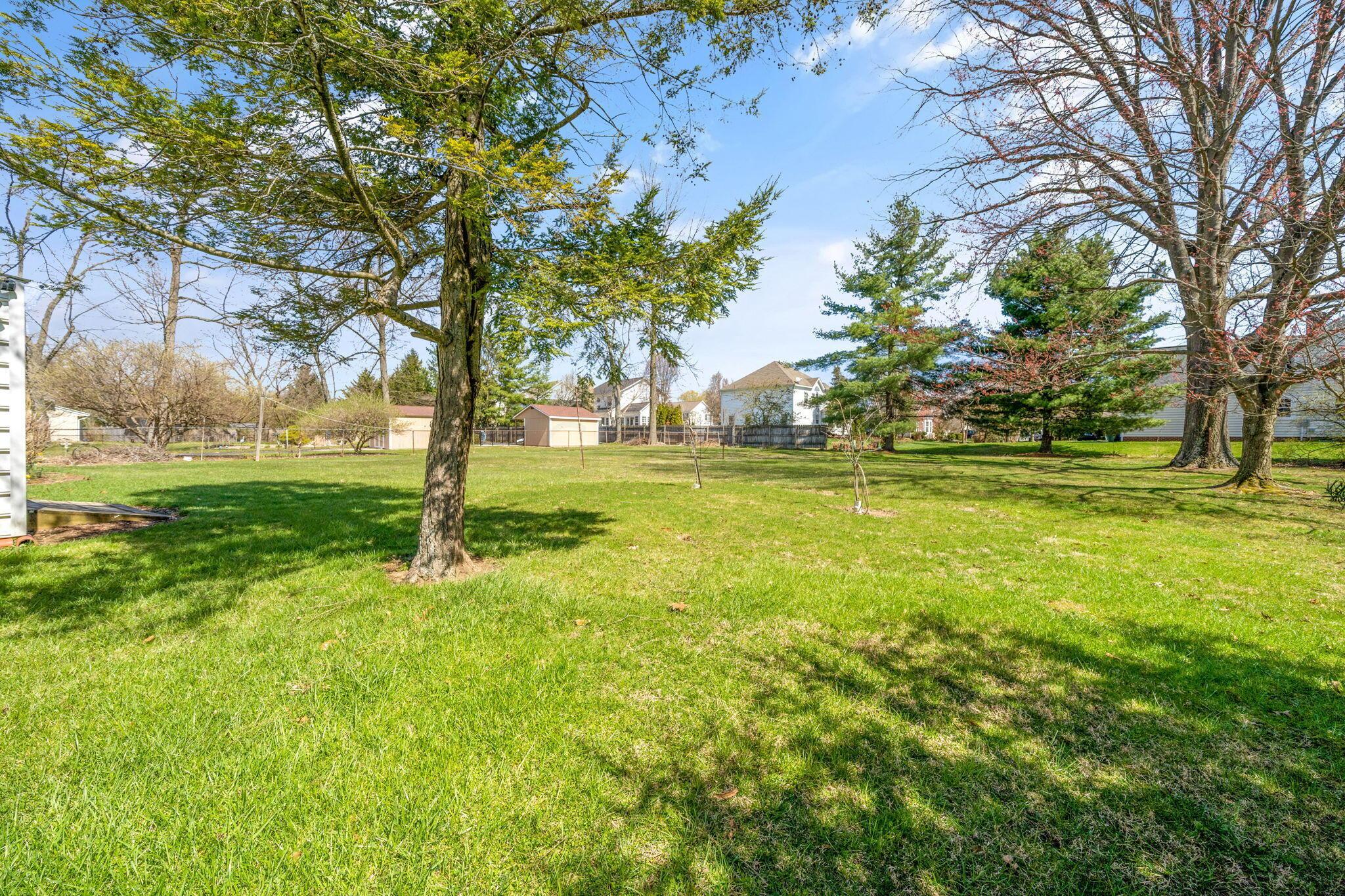 5800 Harlem Road New Albany, OH 43054 - Photo 15 of 23 14-web-or-mls-DSC05655