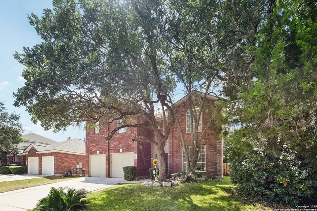 a large tree in the middle of a yard