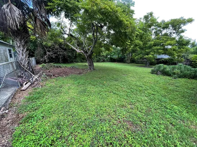 a view of a backyard with large trees