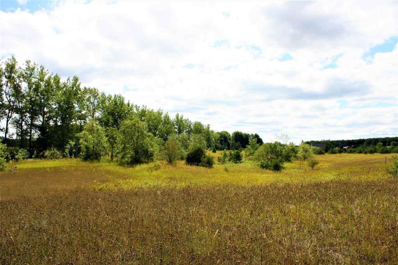 4591 Musser Road Mancelona, MI 49659 - Photo 45 of 48 1866530-44.JPG