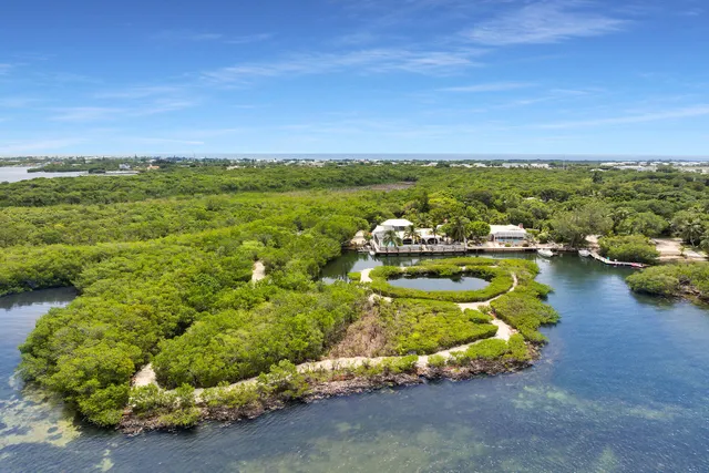 a view of a lake with houses in background