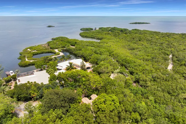 a view of a patio with couches chairs and floor to ceiling window